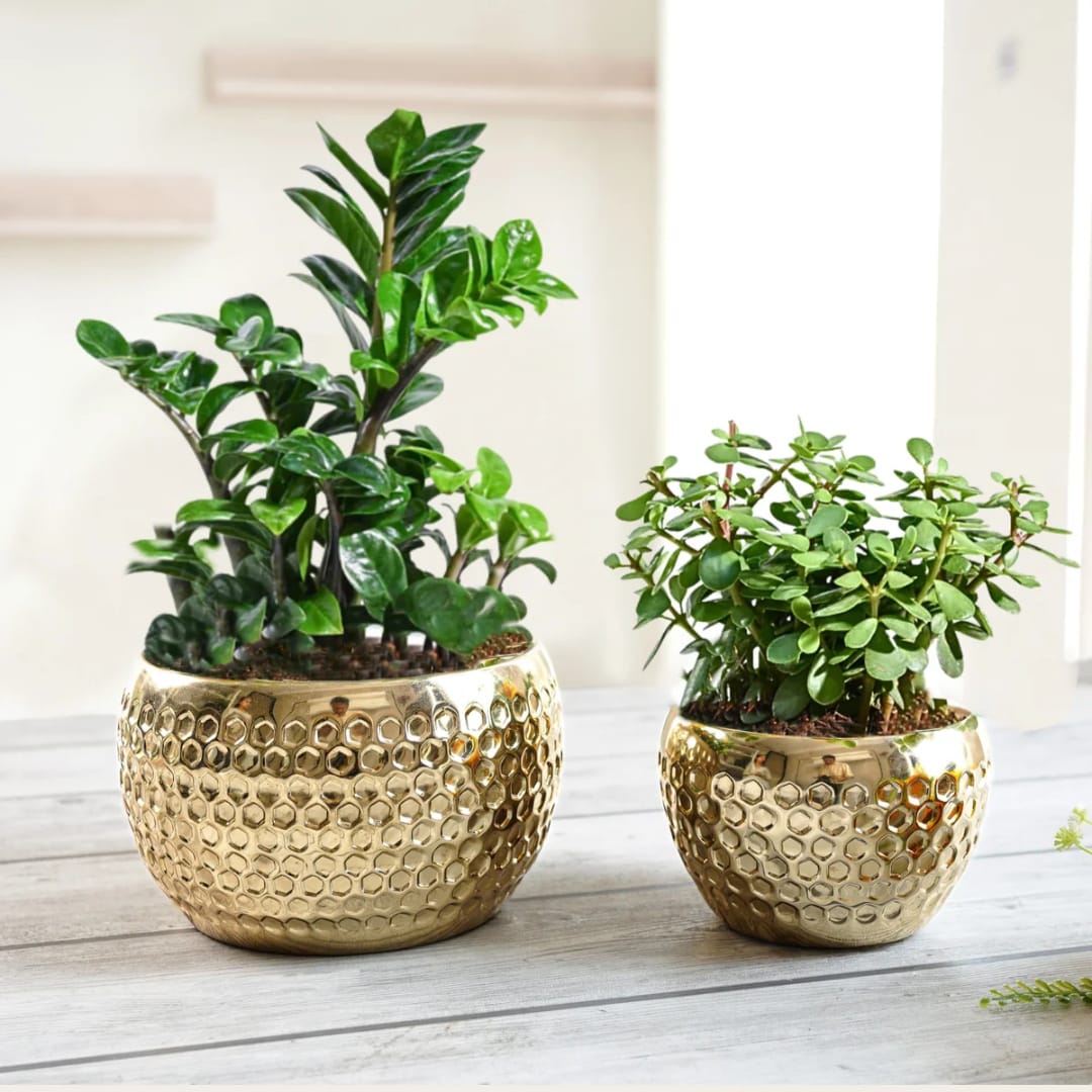 Set of 2 Golden Hammered Metal Decorative Planters