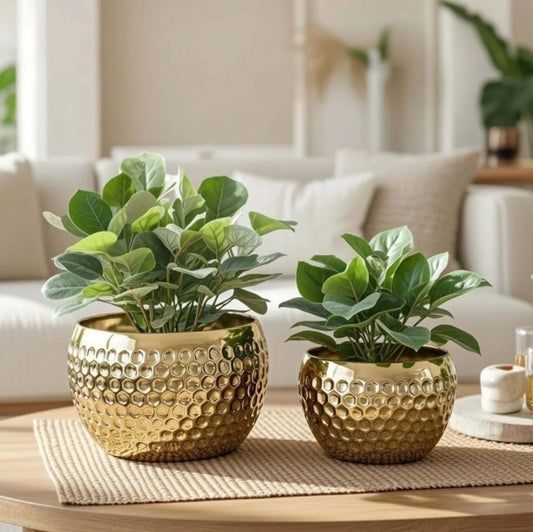 Set of 2 Golden Hammered Metal Decorative Planters