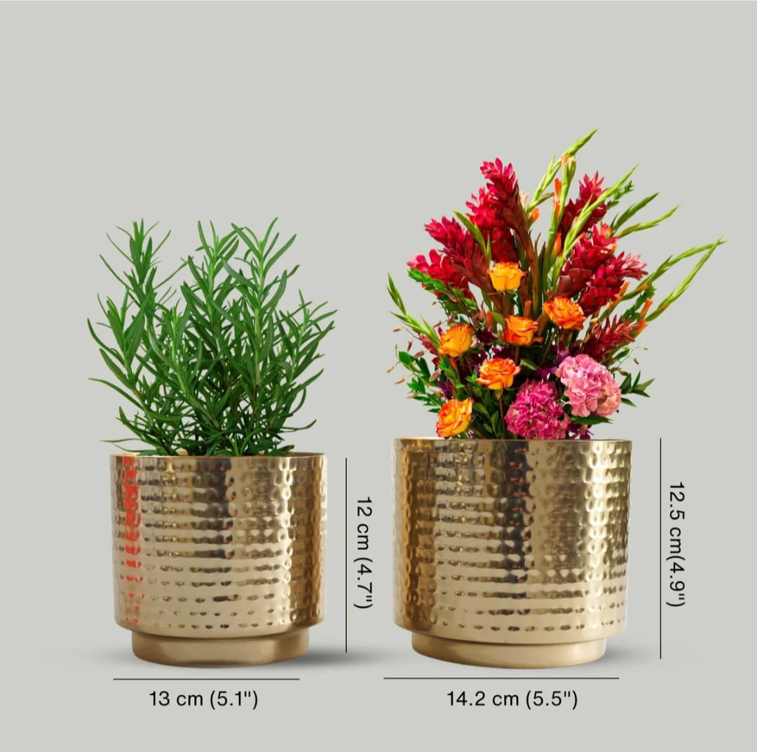 Set of 2 Golden Hammered Metal Decorative Planters
