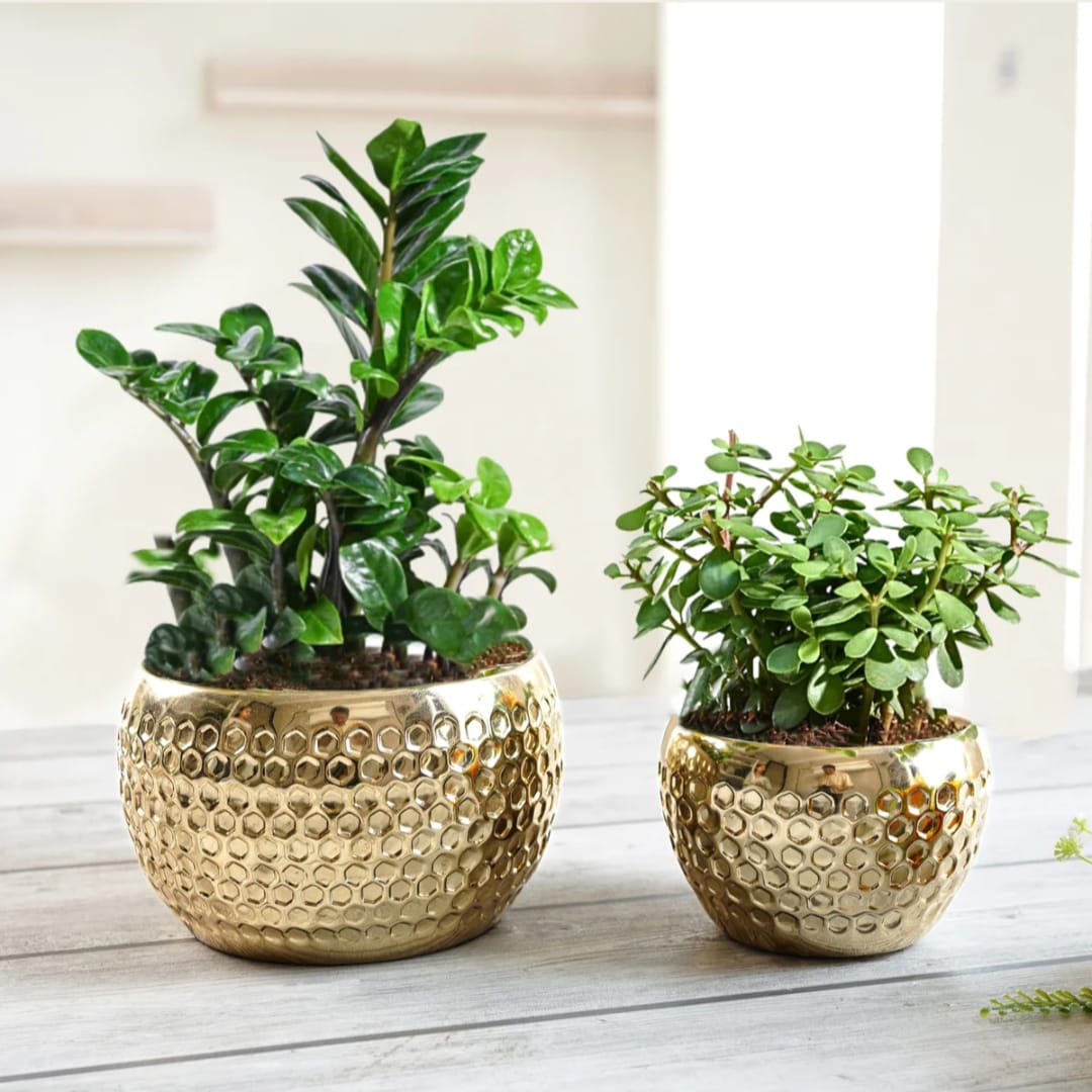 Set of 2 Golden Hammered Metal Decorative Planters