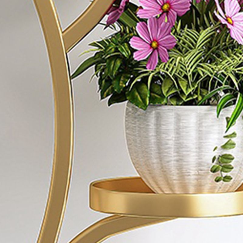 “Stylish Golden 4 Layer Plant Stand – Perfect for Living Room & Home Decor”