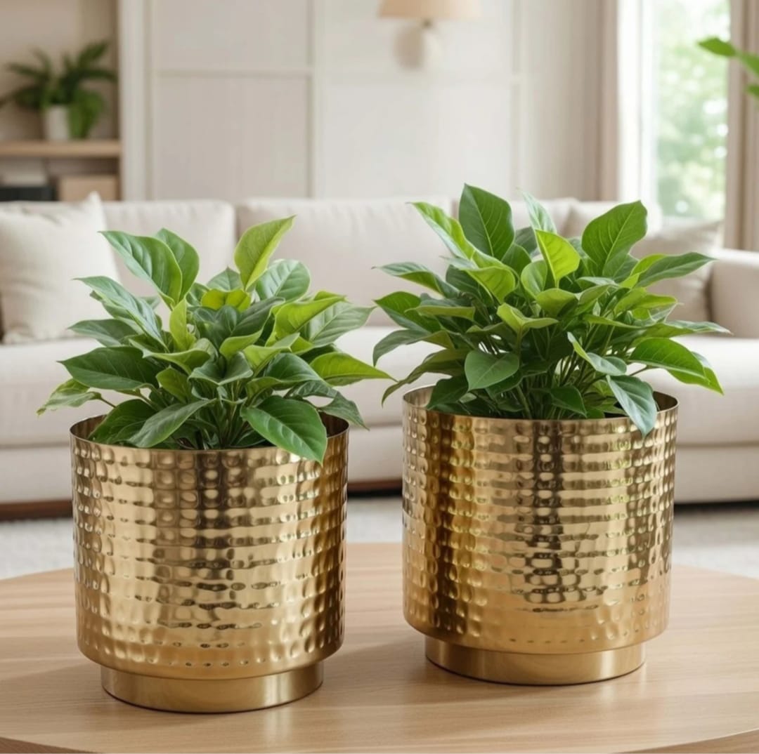 Set of 2 Golden Hammered Metal Decorative Planters