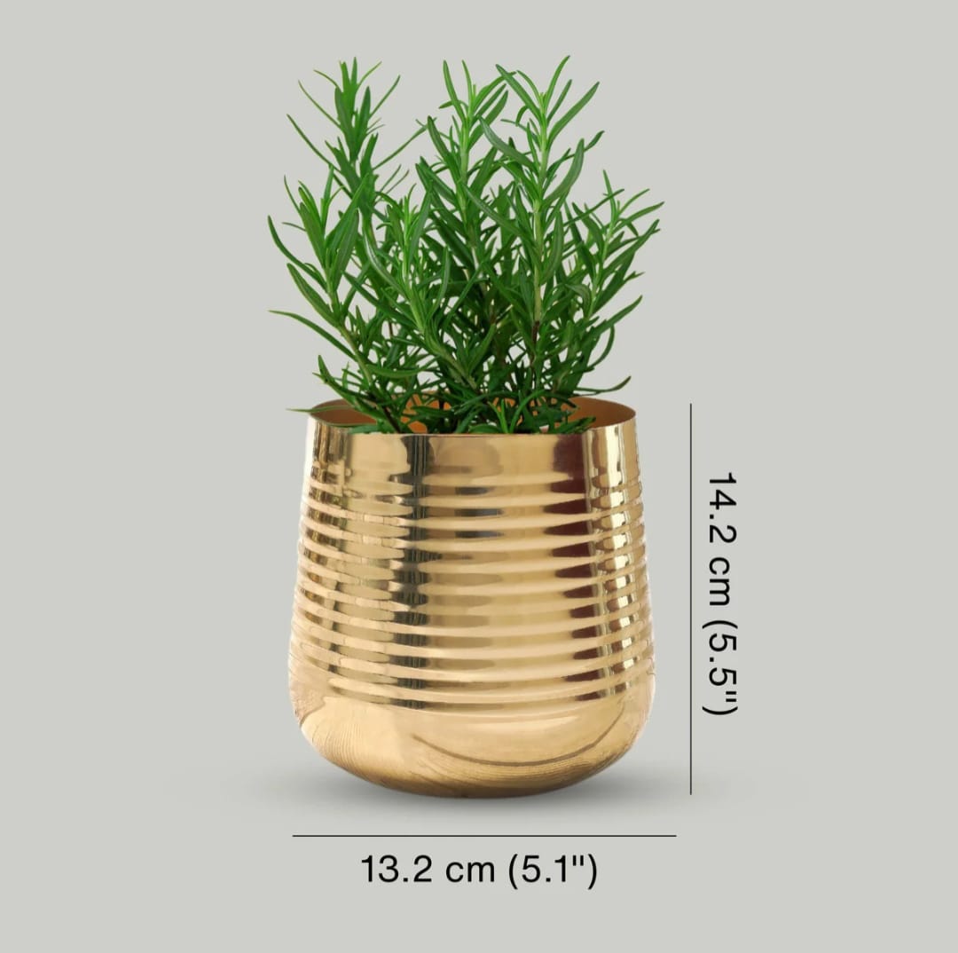 Golden Metal Decorative Planter Pot with Horizontal Ribbed Design