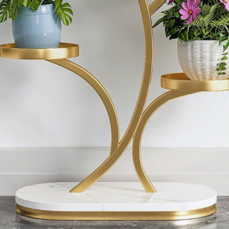“Stylish Golden 4 Layer Plant Stand – Perfect for Living Room & Home Decor”