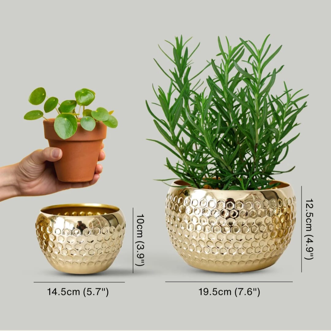 Set of 2 Golden Hammered Metal Decorative Planters
