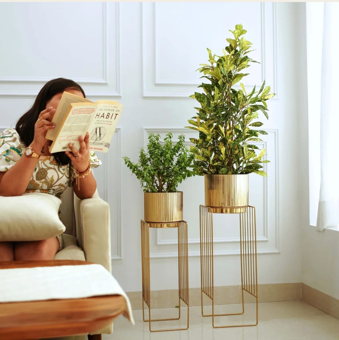 Set of 2 Golden Metal Planter Stands with Decorative Pots
